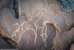 Najstarszy cmentarz na świecie. Kim są pogrzebani?