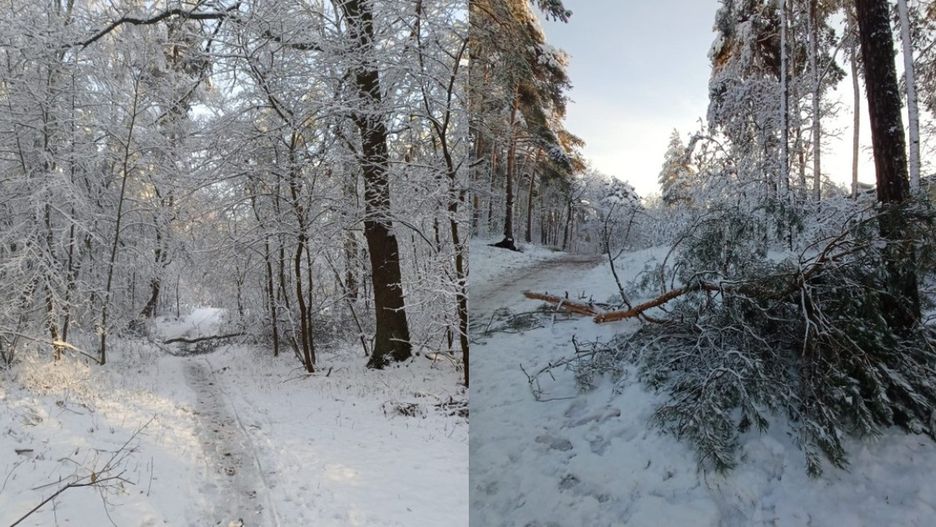 Fot. Magdalena Różycka