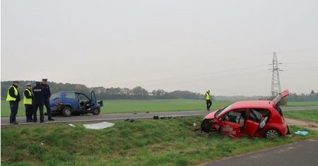 Śmiertelny wypadek w Wielkopolsce. Nie żyje 79-latek