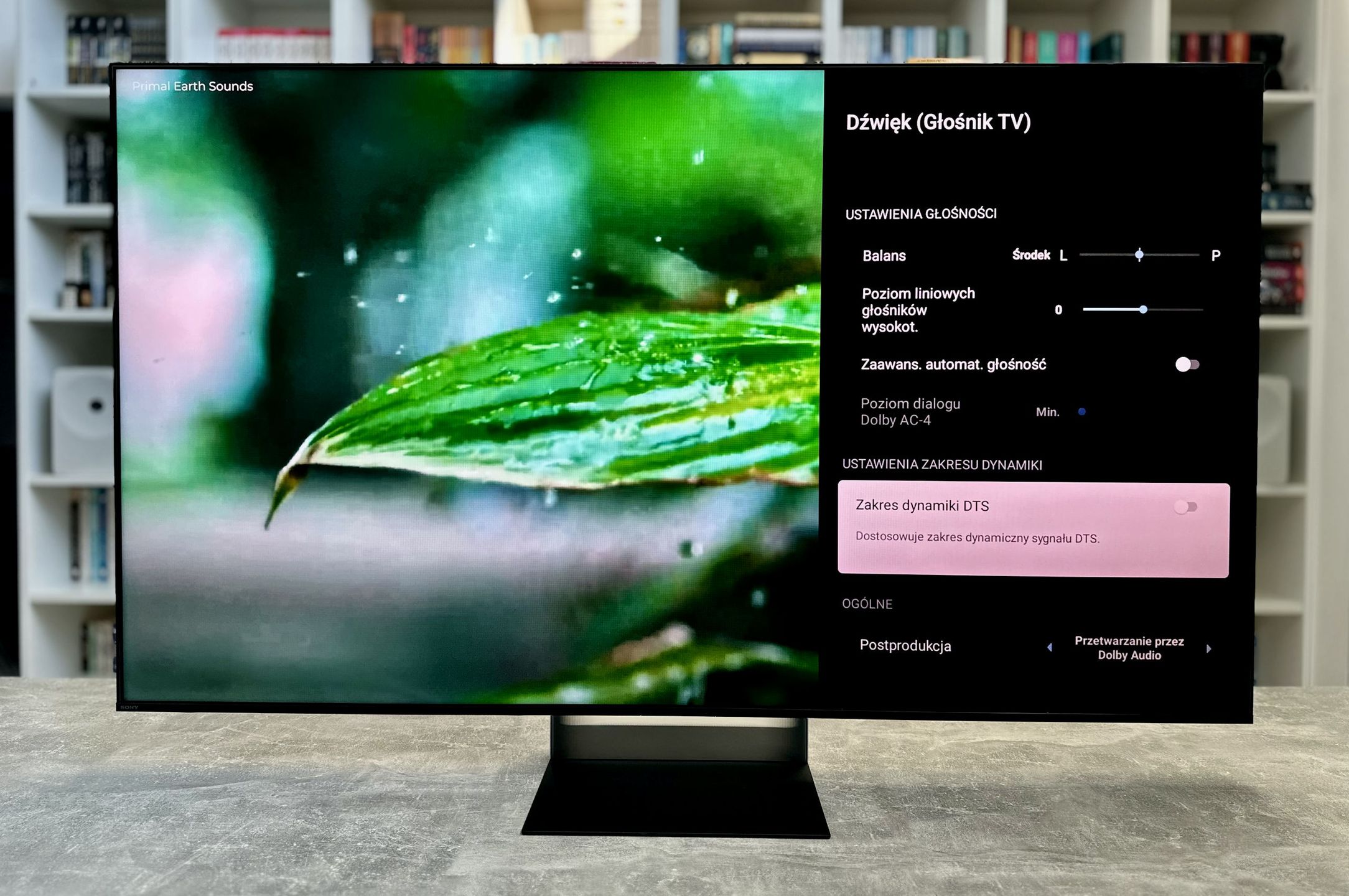 Sony BRAVI 9 II - ustawienia audio