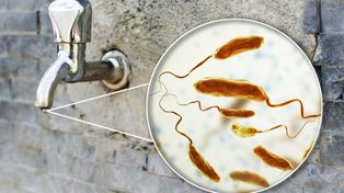 Cholera to śmiertelna choroba, która sieje postrach. Bardzo łatwo jest się nią zarazić. Bakterie mogą być w jedzeniu lub wodzie