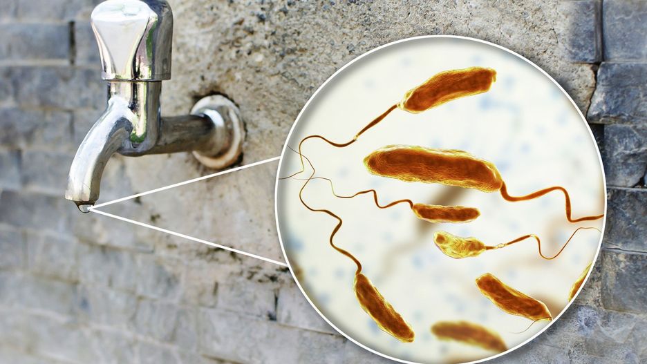 Cholera