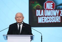 Manifestacja PiS w Warszawie. "To potrafi tylko Jarosław Kaczyński"