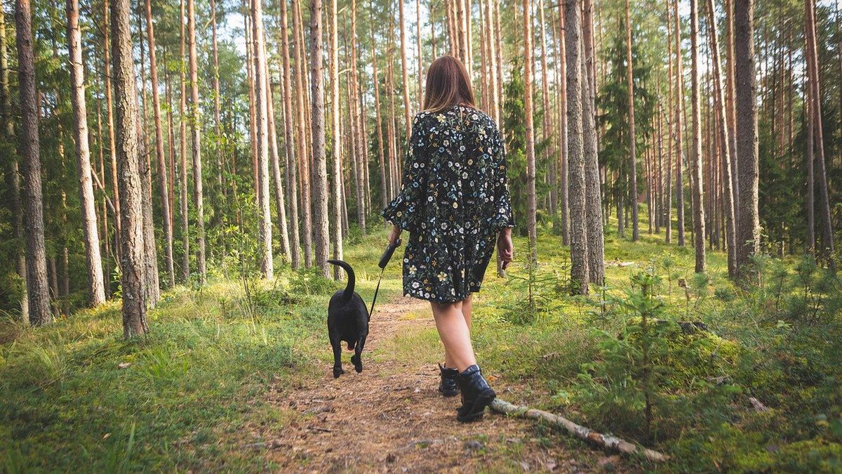 Jakie ograniczenia przestaną obowiązywać? 