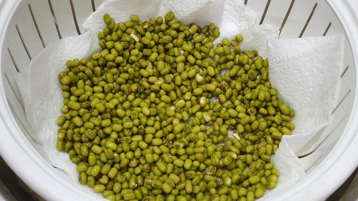 Wspiera odchudzanie i reguluje pracę jelit. Pozycja obowiązkowa na diecie