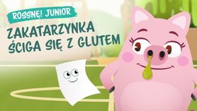 Zakatarzynka ściga się z glutem