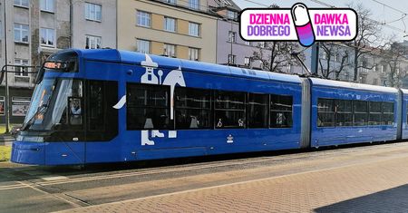 Pies wsiadł do tramwaju. Szczęśliwy finał przejażdżki "na gapę"