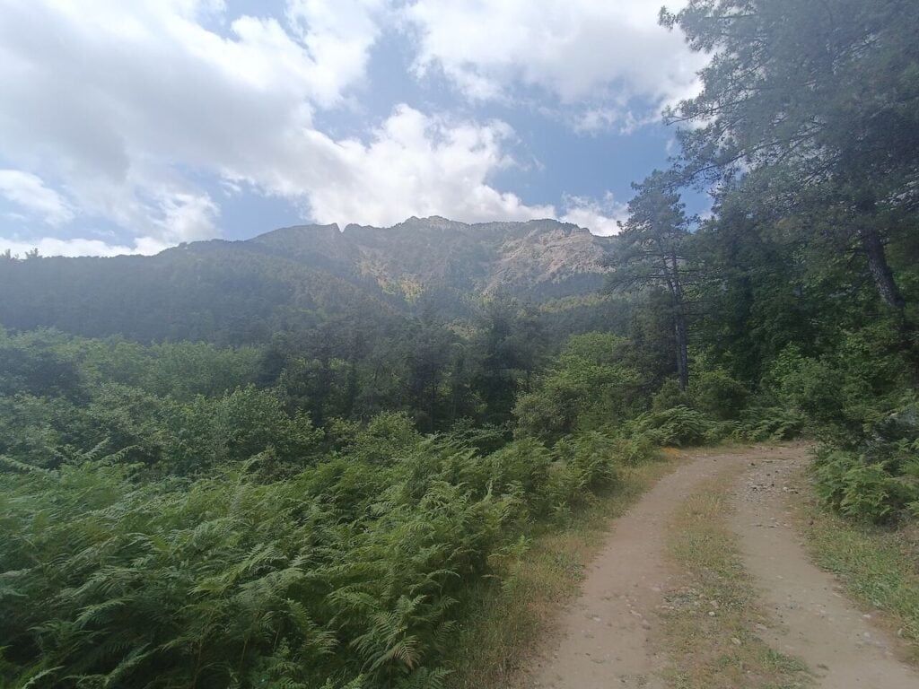 Thassos Ipsarion