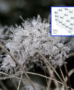 IMGW ostrzega przed przymrozkami. Sześć województw zagrożonych