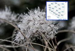 IMGW ostrzega przed przymrozkami. Sześć województw zagrożonych