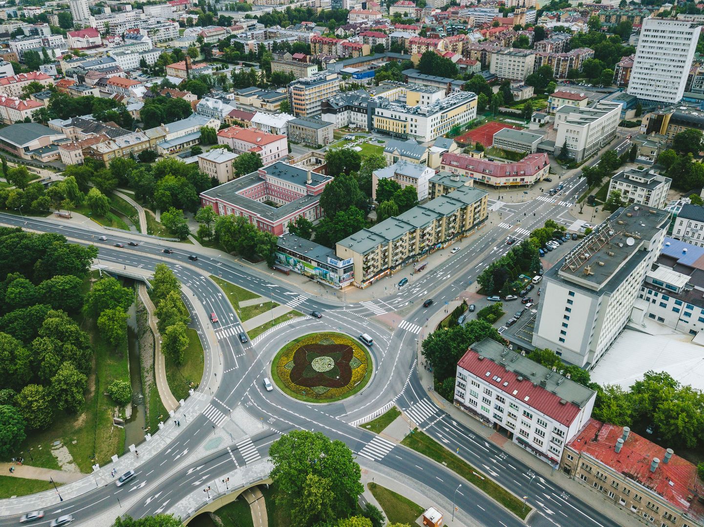 Skandal w Białymstoku. Zbierali kości do wiaderka