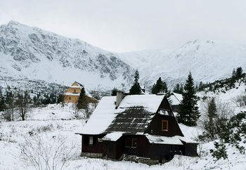 Pogoda w Zakopanem. Prognoza na 24 grudnia. Rano spadnie śnieg