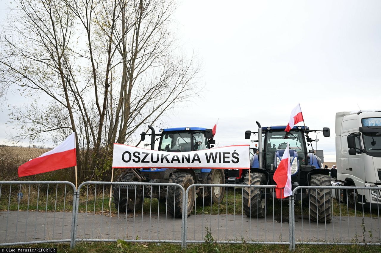Jest plan na rozładowanie kryzysu zbożowego. Warszawa negocjuje z Kijowem