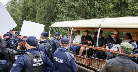 Interwencja policji na drodze do Morskiego Oka. Pikieta aktywistów i kontrmanifestacja