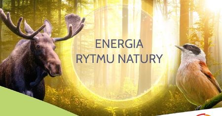 PGE Polska Grupa Energetyczna zaprasza do odwiedzania polskich parków narodowych