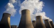Są gigantyczne, a ważą tyle co nic. I zmieniają CO2 w paliwo