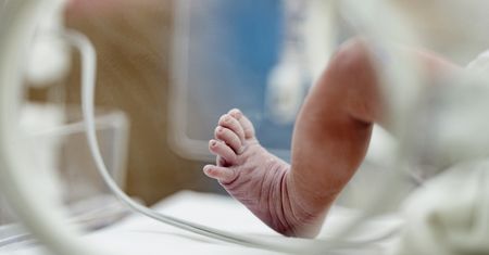 Zawiercie. Noworodek pod wpływem alkoholu, rodzice zatrzymani. "Były interwencje"