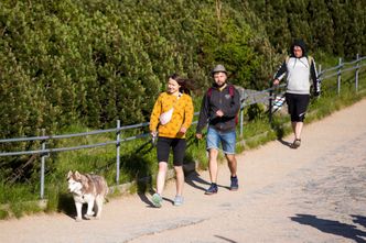 Wraca zakaz w Czechach. Nawet 17 tys. zł kary