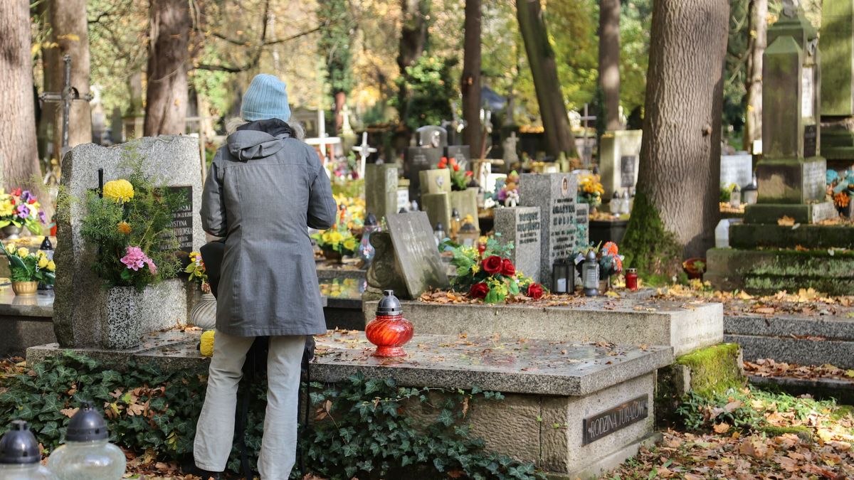 Przygotowania do Wszystkich ?wi?tych
10.2025. Krakow. Cmentarz Rakowicki. Coraz wiekszy ruch na cmentarzach, zbliza sie dzien Wszystkich Swietych. Fot. Mateusz Kotowicz/REPORTER
Mateusz Kotowicz/REPORTER
