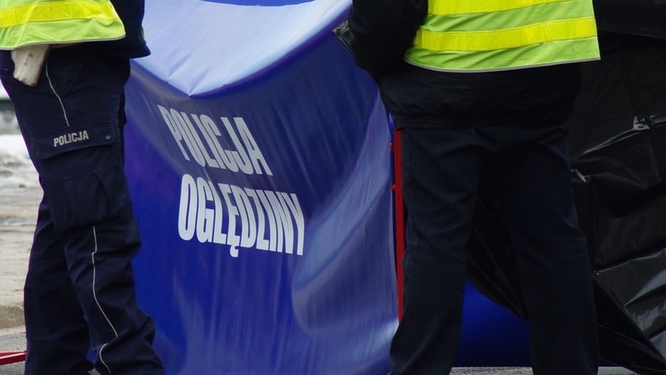 policja, parawan policyjny, oględziny