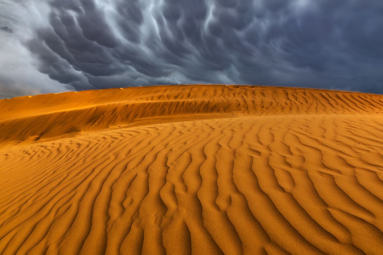 Co to oznacza dla ludzi? Sahara po 2050 r. "Zaskakująca" zmiana