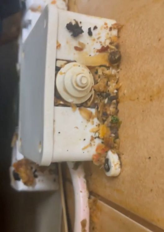 "Kuchenne rewolucje"