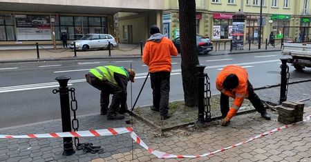 Zrywają kostkę, żeby… posadzić więcej zieleni i skończyć z betonozą