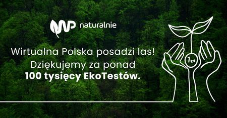 Wirtualna Polska posadzi las. Pochłonie 7 ton CO2