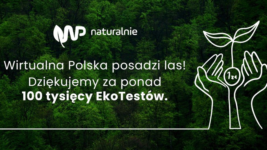 Wirtualna Polska posadzi las 