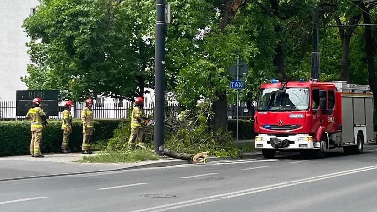 Konar spadł na chodnik na ul. Obywatelskiej