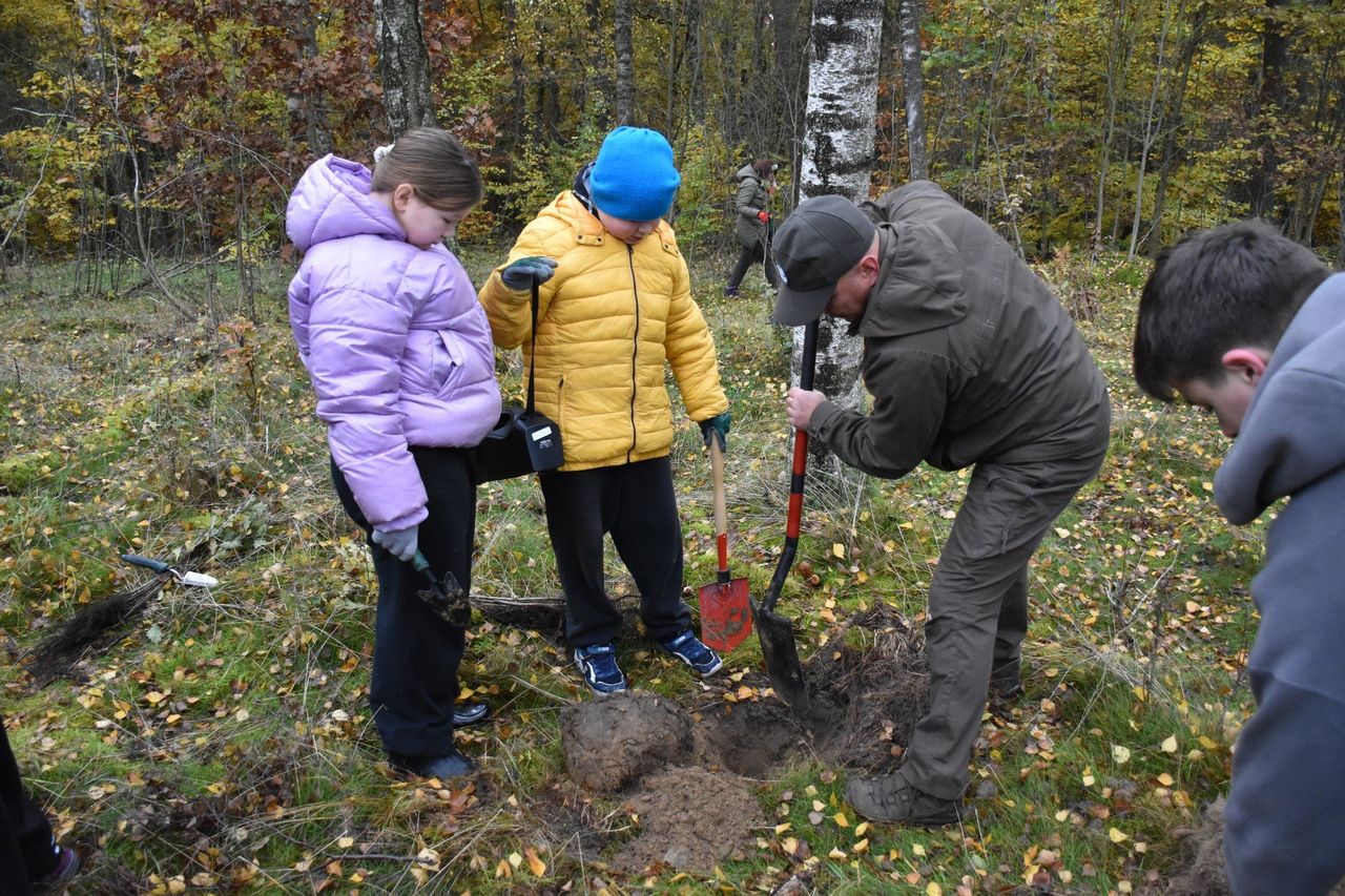 Chojnice: Już rośnie 750 drzew na 750-lecie. To wspólna akcja