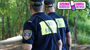 Zniknął podczas spaceru. Do akcji wkroczyły służby