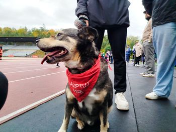 Słupsk: Biegli dla czworonogów! XI Słupski Bieg Charytatywny za nami