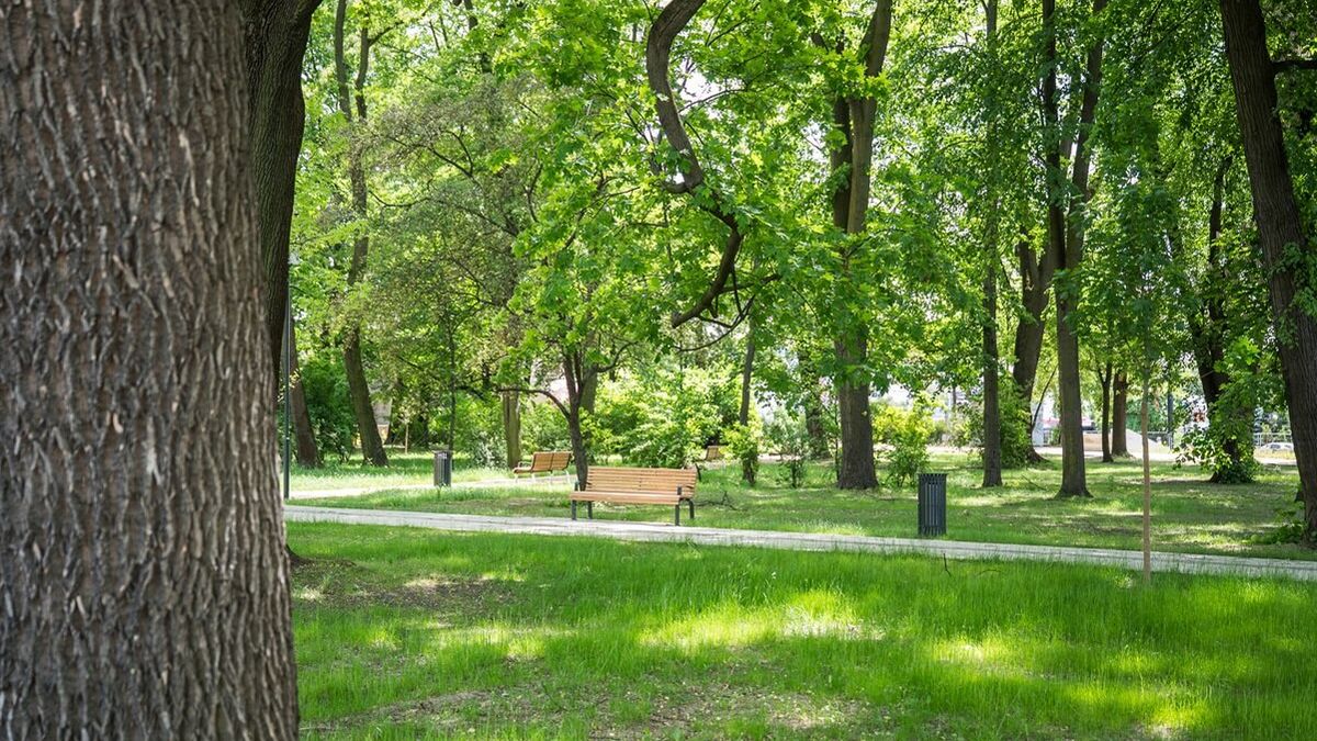 Park Bronowicki po rewitalizacji