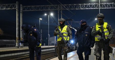 Zmiana ws. żołnierzy WOT. "Są wyposażeni w broń i amunicję"