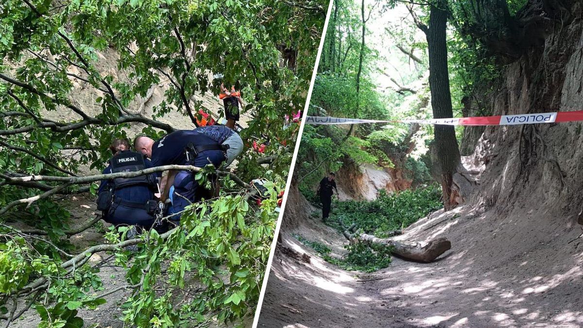 W wąwozie konar spadł na dzieci