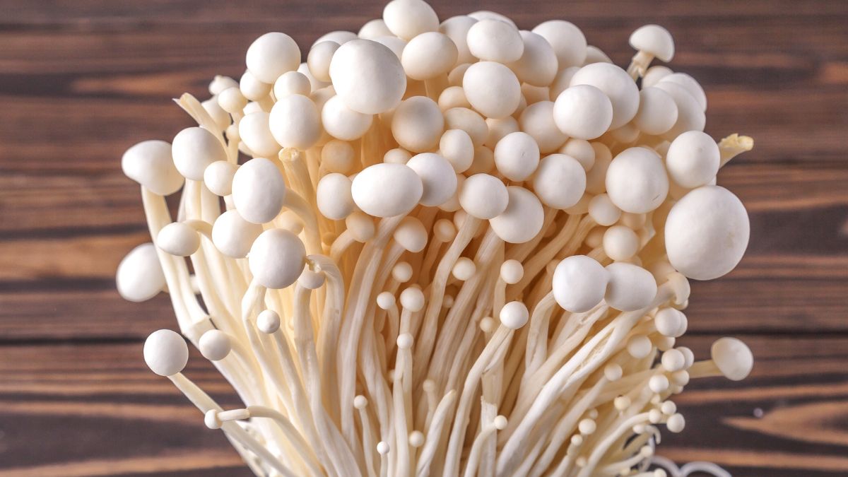 Właściwości grzybów enoki.