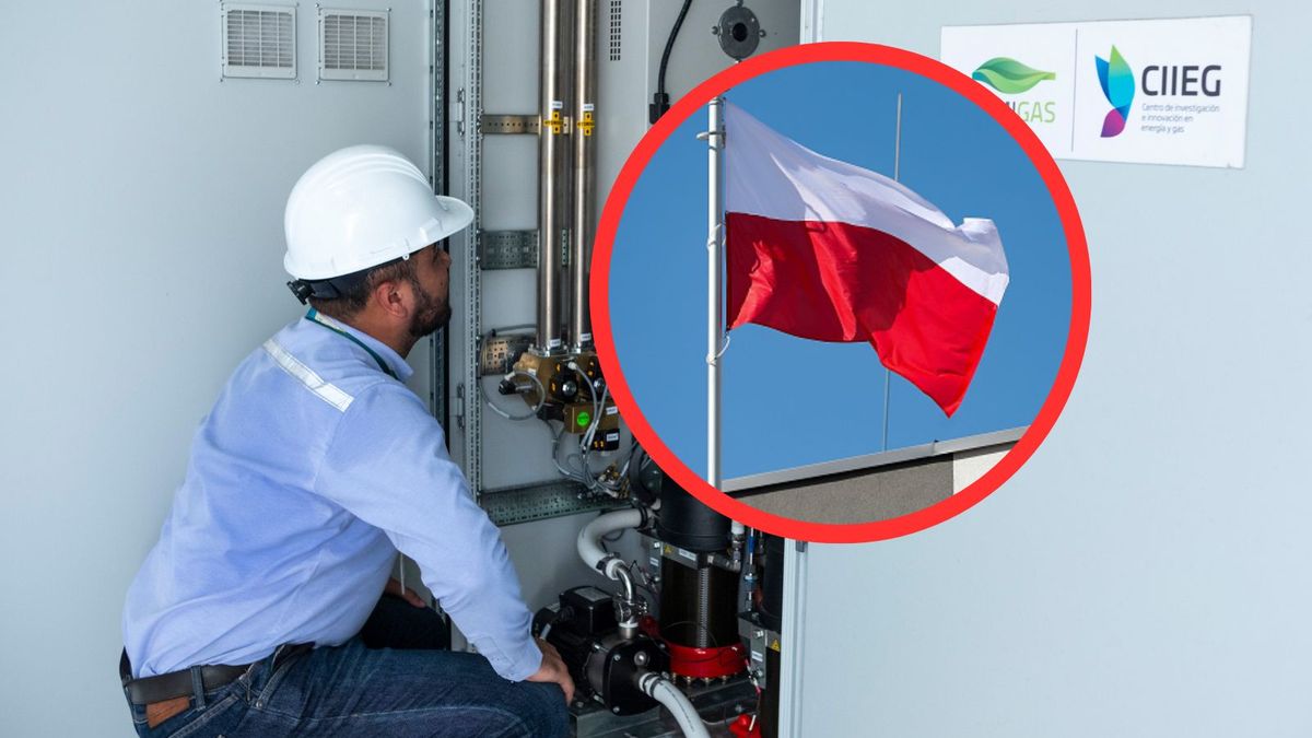 Praca w Polsce. Są oferty dla Kolumbijczyków