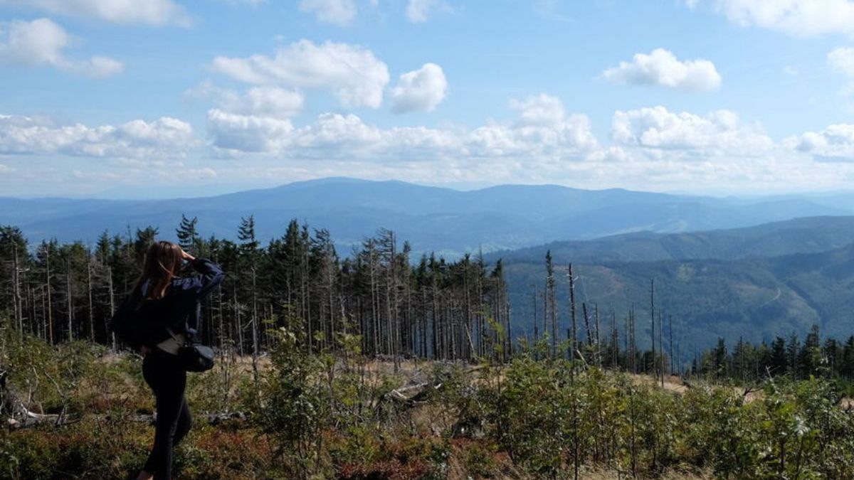 Skrzyczne - Beskid Śląski