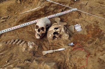 Co wydarzyło się pod Żórawiną? Naukowcy badają szczątki sprzed 1600 lat