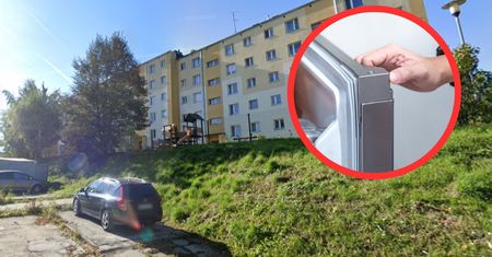 Makabra! Znaleźli go w zamrażarce. Pozostałe zwierzęta zabrali natychmiast