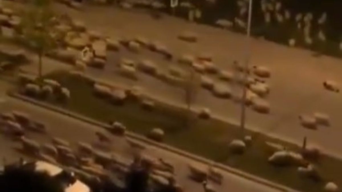 Stado owiec opanowało ulice miasta Samsun w północnej Turcji