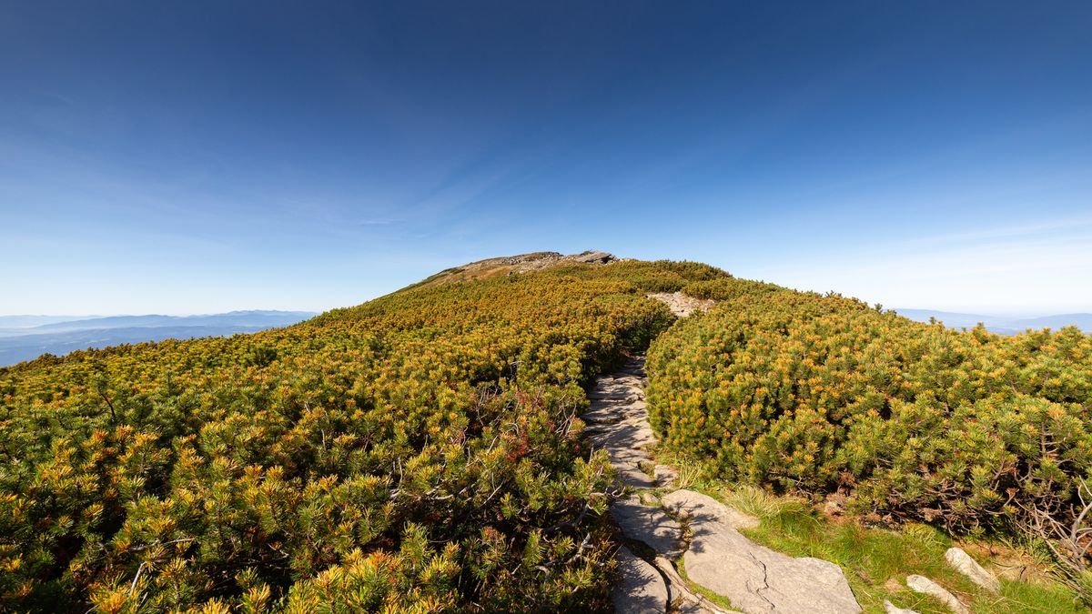 Odkrycie na Babiej Górze