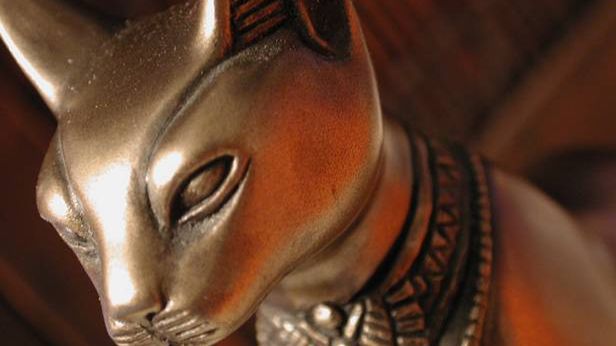 Ile kosztuje zmumifikowanie ulubionego zwierzaka? 1