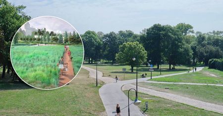 Wraca temat budowy parku na Błoniach pod Zamkiem. Miasto zleca aktualizację obecnego projektu. Co się zmieni?