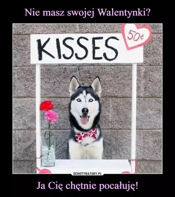 Najlepsze memy na Walentynki 