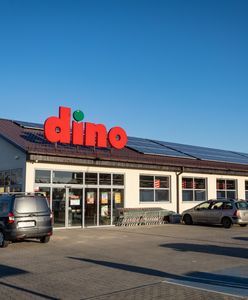 Jest decyzja ws. Dino w Warszawie. Rzecznik wojewody wyjaśnia