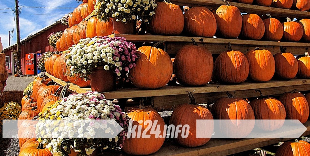 Gnojno: Gminny Festiwal Dyni. Jesienne smaki i rodzinne atrakcje