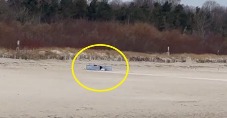 To nie żart. Nagranie z plaży we Władysławowie