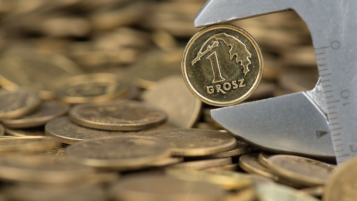 Rosnące ceny miedzi sprawiają, że stare grosze zyskują na wartości.